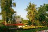 Enjoy Sa Dec Flower Gardens!